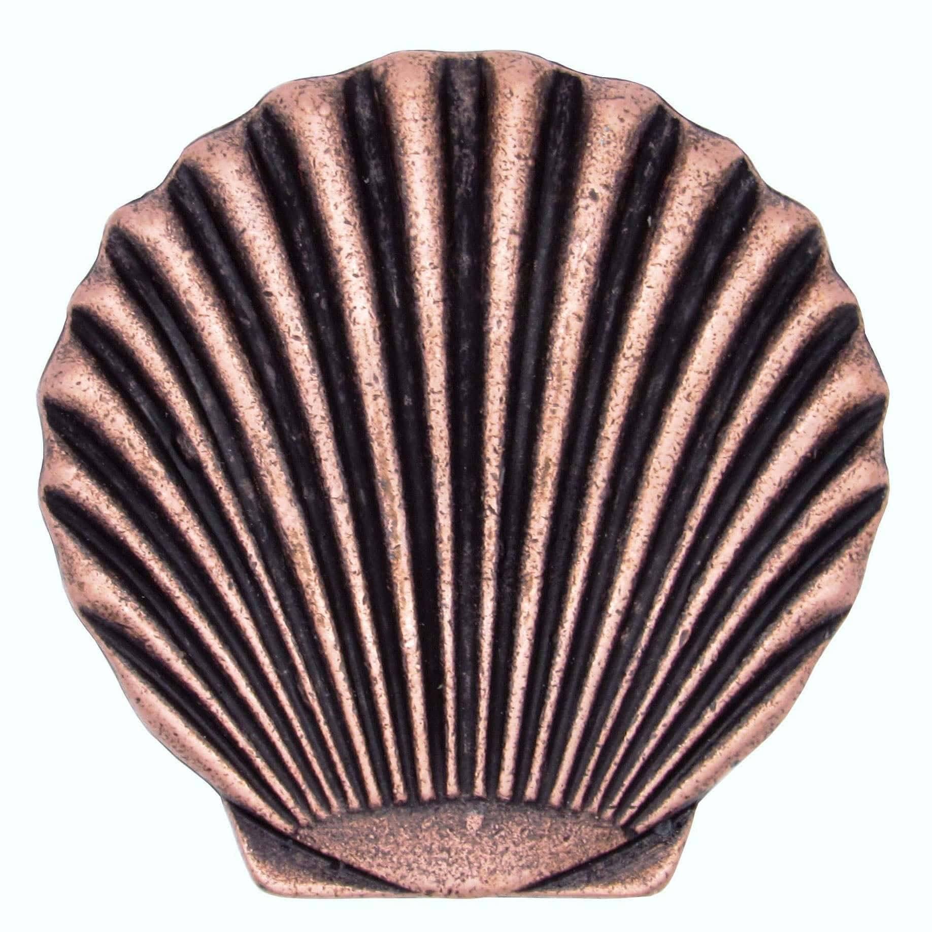 172459_000_001