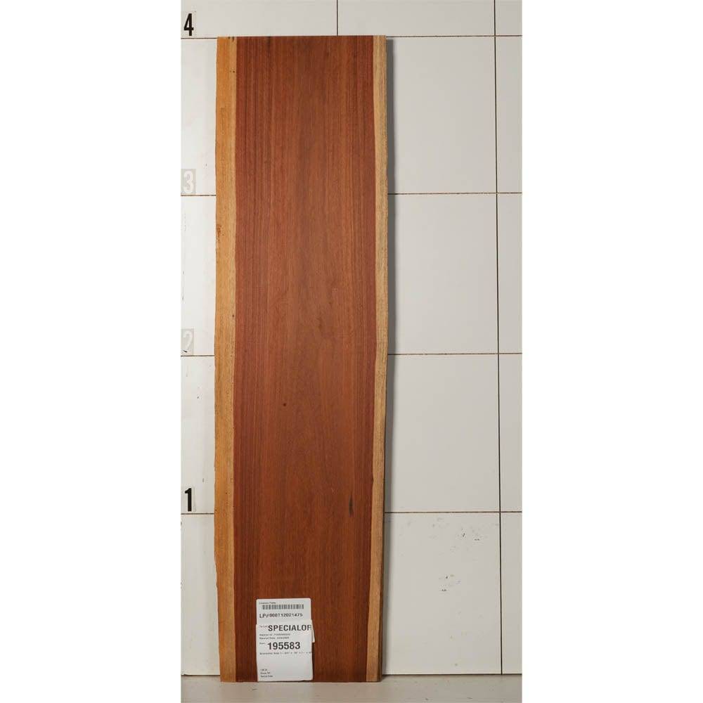 195583_000_001
